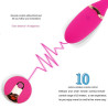 Buy Remote Control Fish Egg Wireless Vibrator Sextoys In Bengaluru